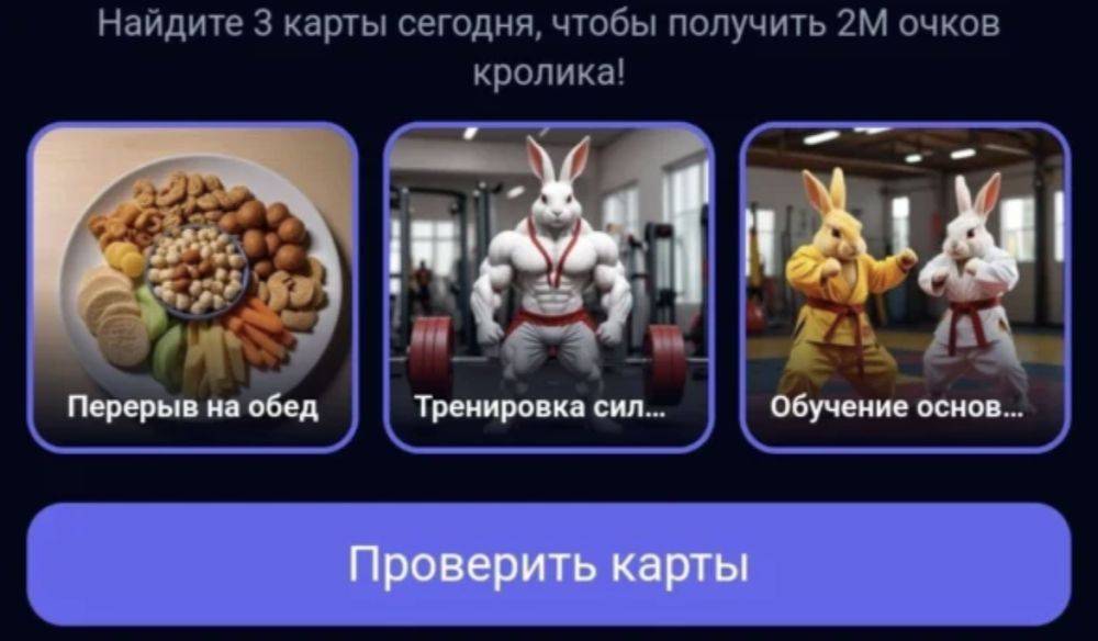 Супер сет rocky rabbit сегодня